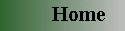 Home Button